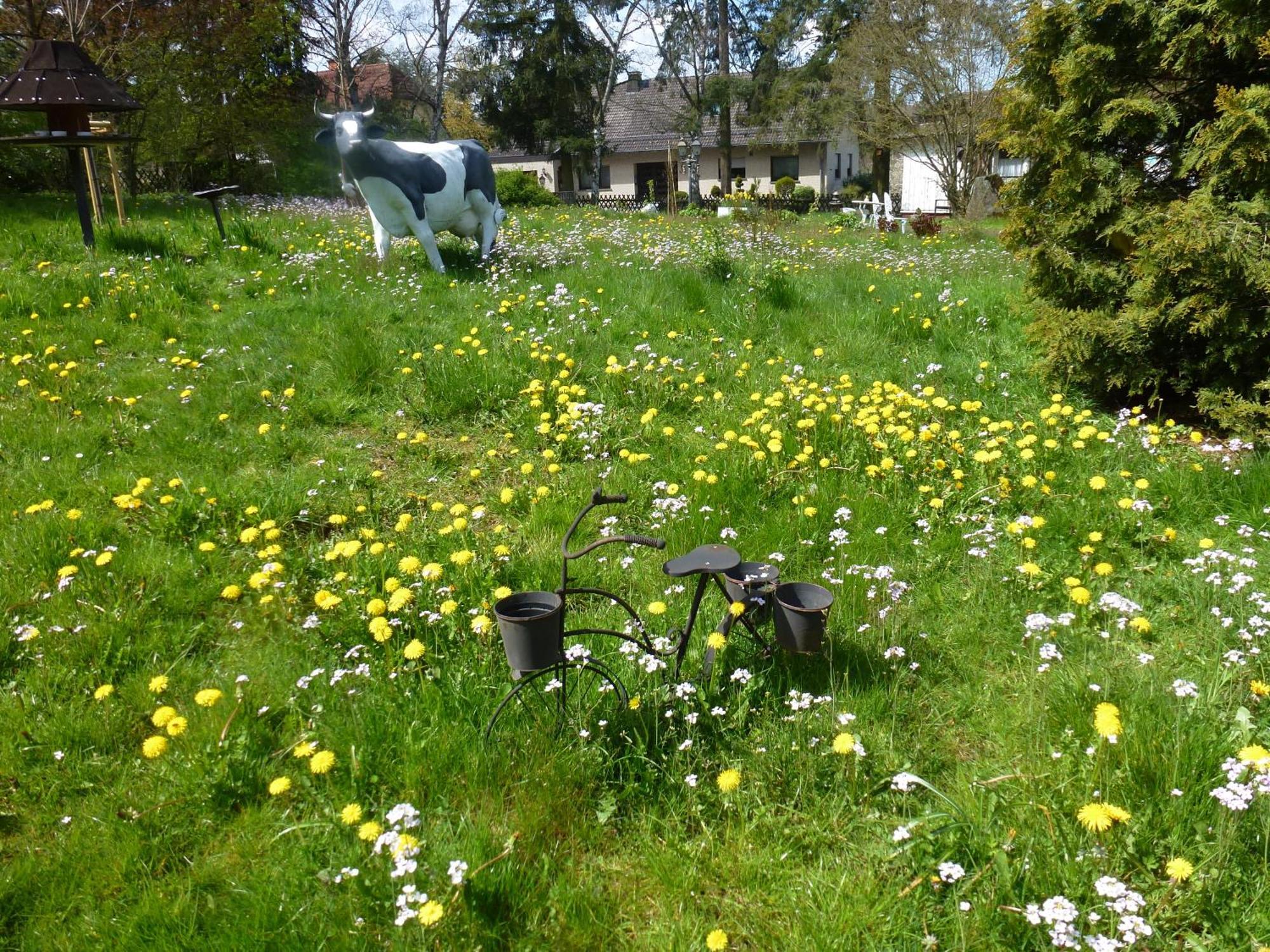 Land Des Friedens In Nettersheim / Eifel Leilighet Eksteriør bilde