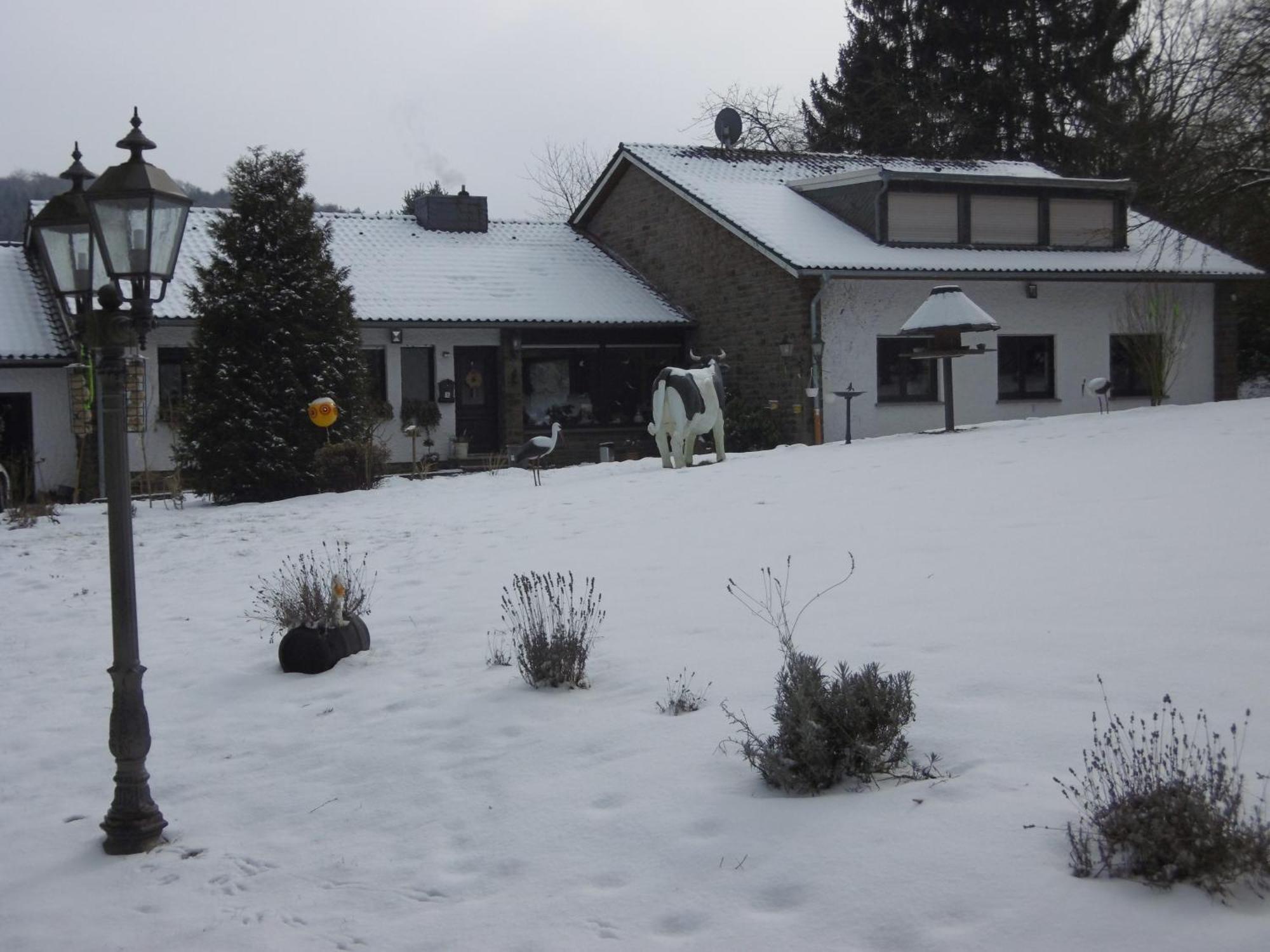 Land Des Friedens In Nettersheim / Eifel Leilighet Eksteriør bilde