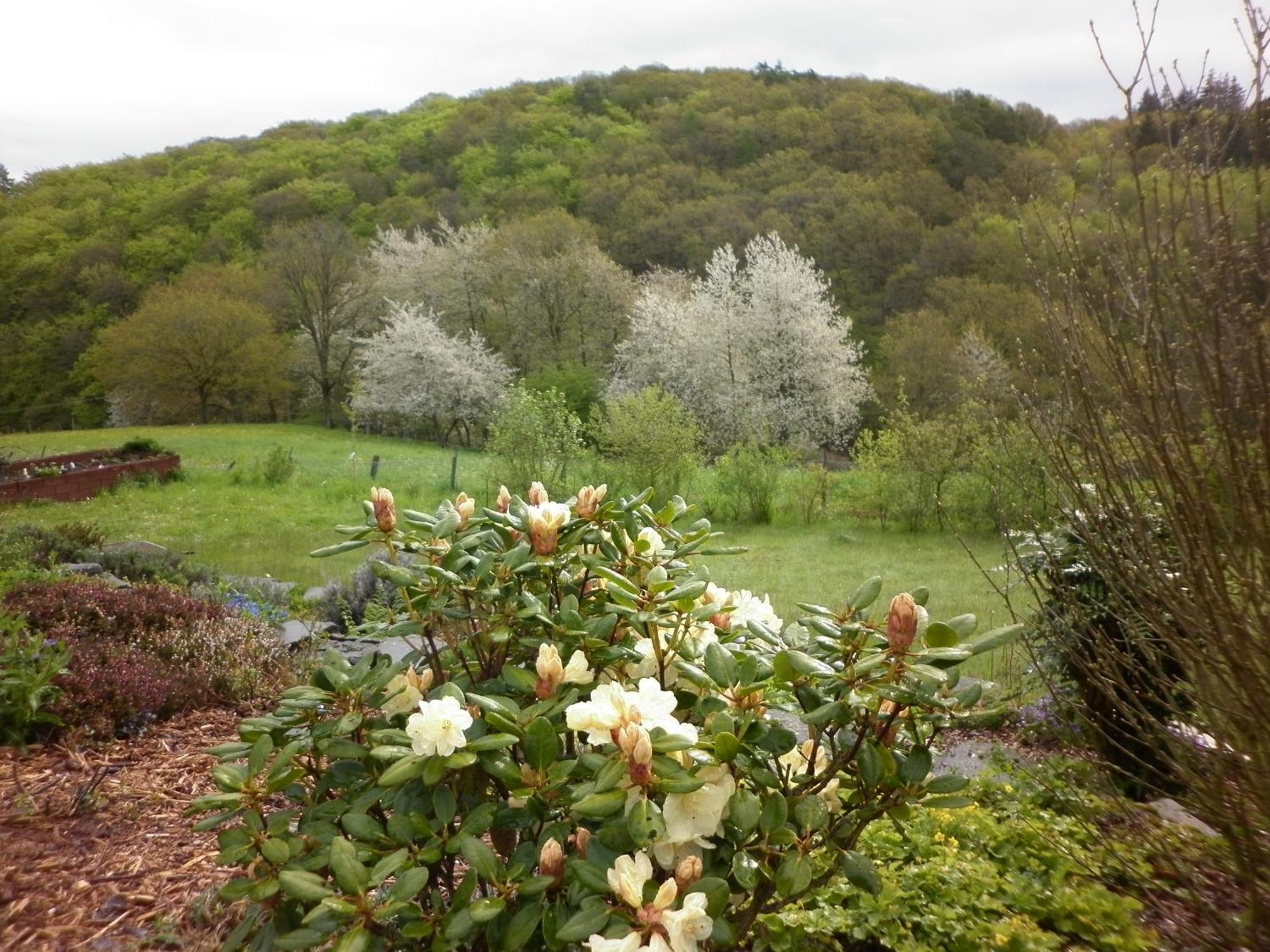 Land Des Friedens In Nettersheim / Eifel Leilighet Eksteriør bilde