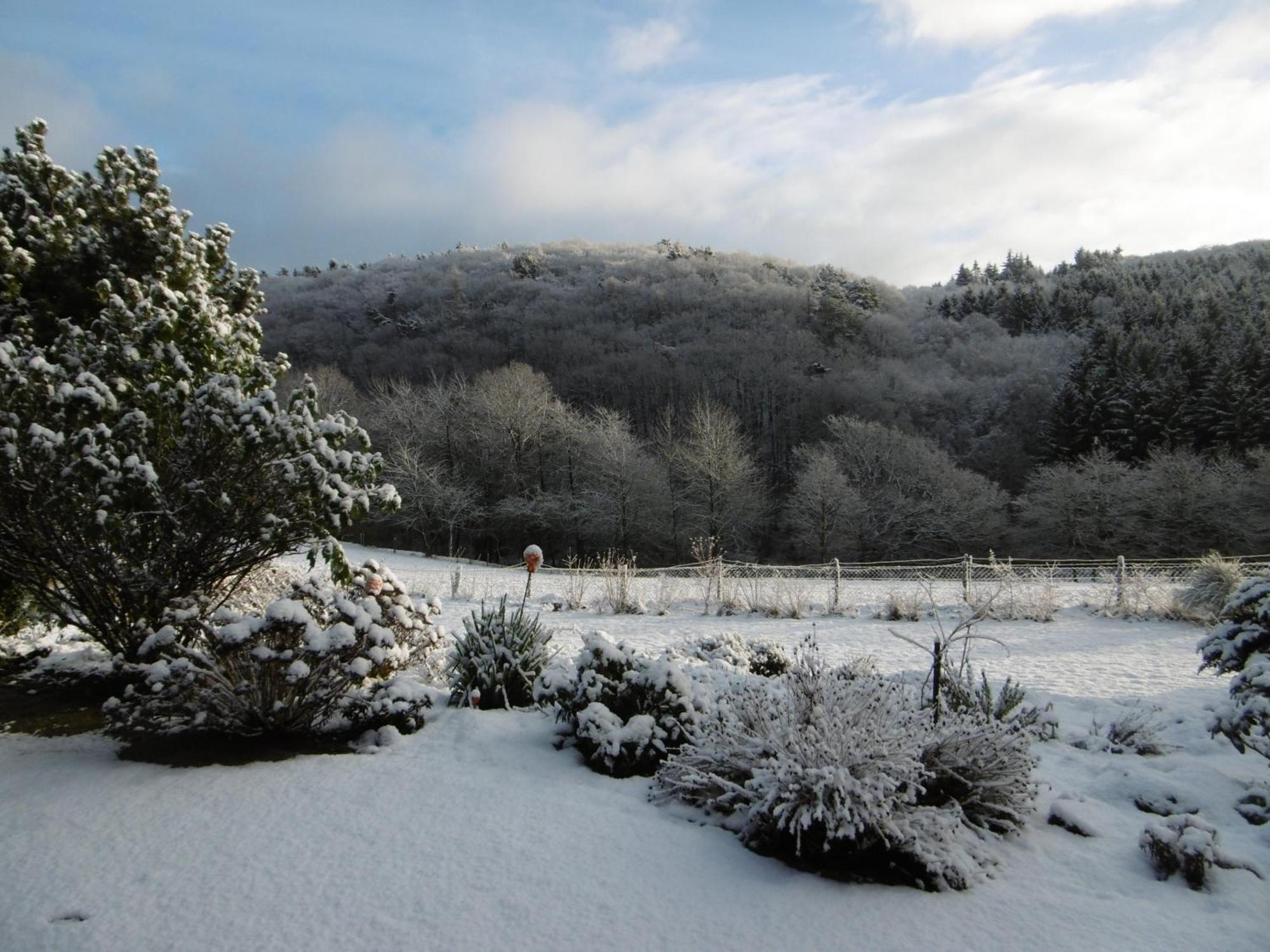 Land Des Friedens In Nettersheim / Eifel Leilighet Eksteriør bilde